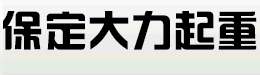 鋼絲繩電動(dòng)葫蘆專業(yè)生產(chǎn)廠家河北大力